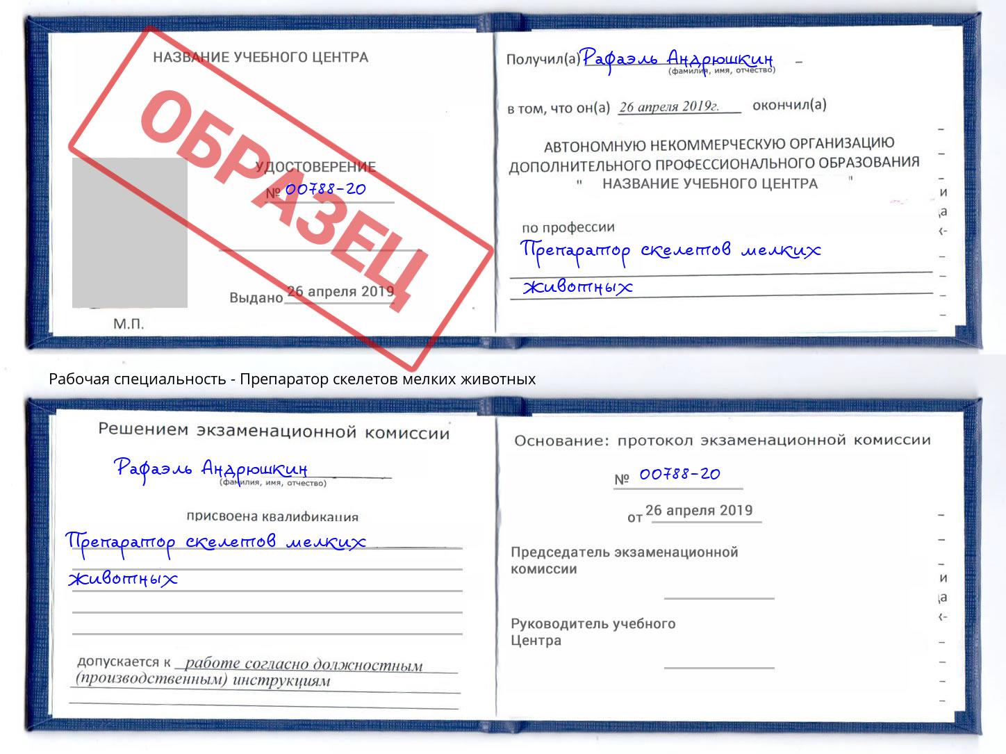 Препаратор скелетов мелких животных Усть-Лабинск