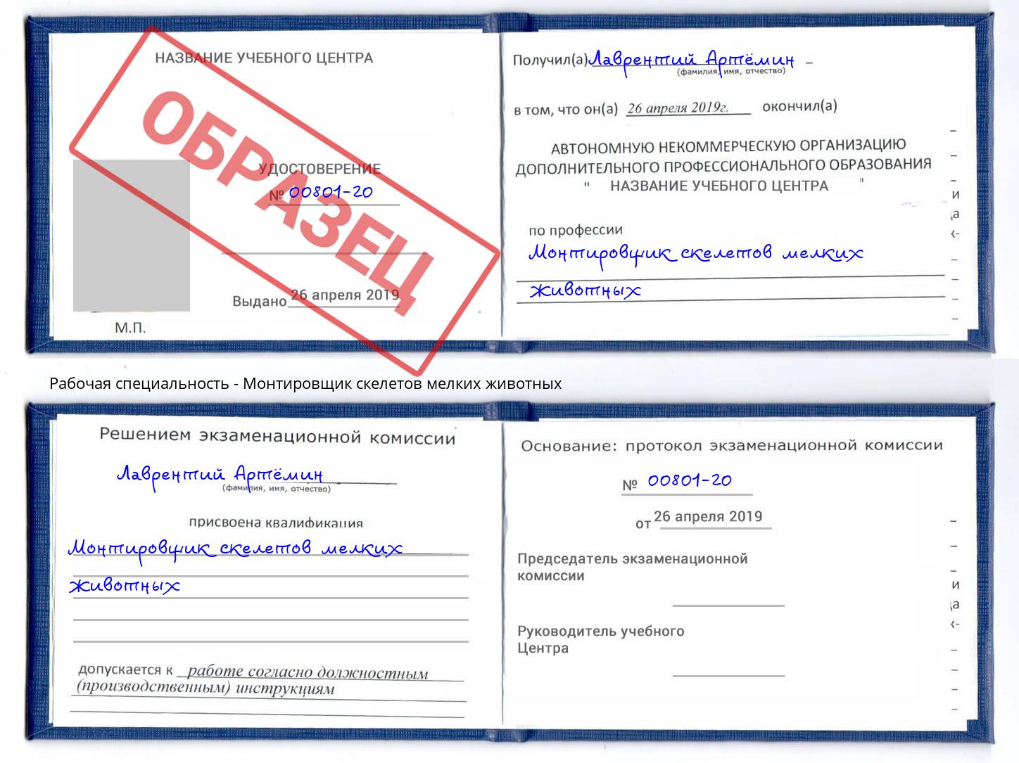 Монтировщик скелетов мелких животных Усть-Лабинск