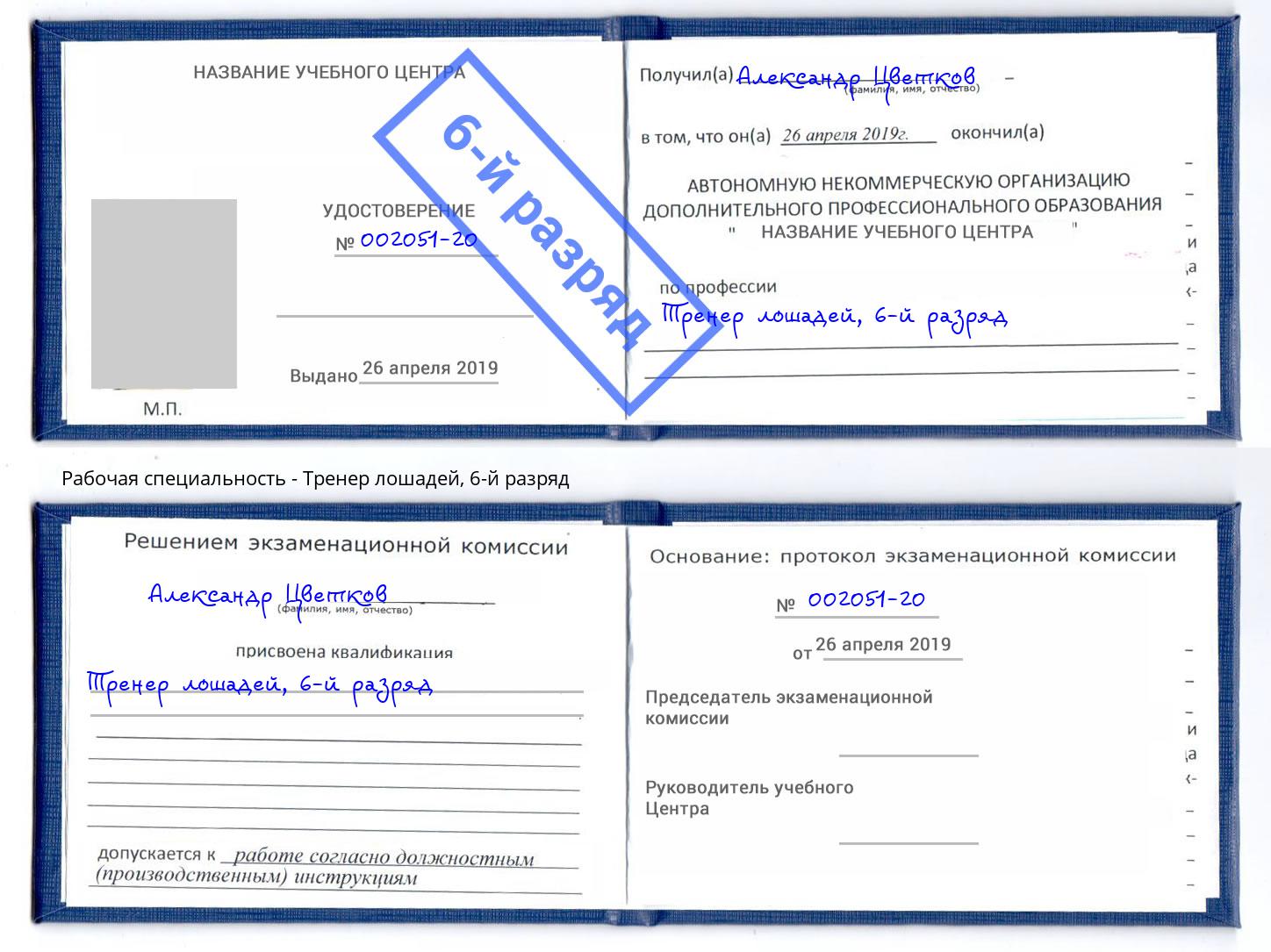 корочка 6-й разряд Тренер лошадей Усть-Лабинск