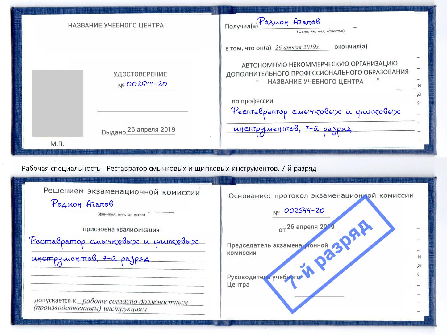 корочка 7-й разряд Реставратор смычковых и щипковых инструментов Усть-Лабинск