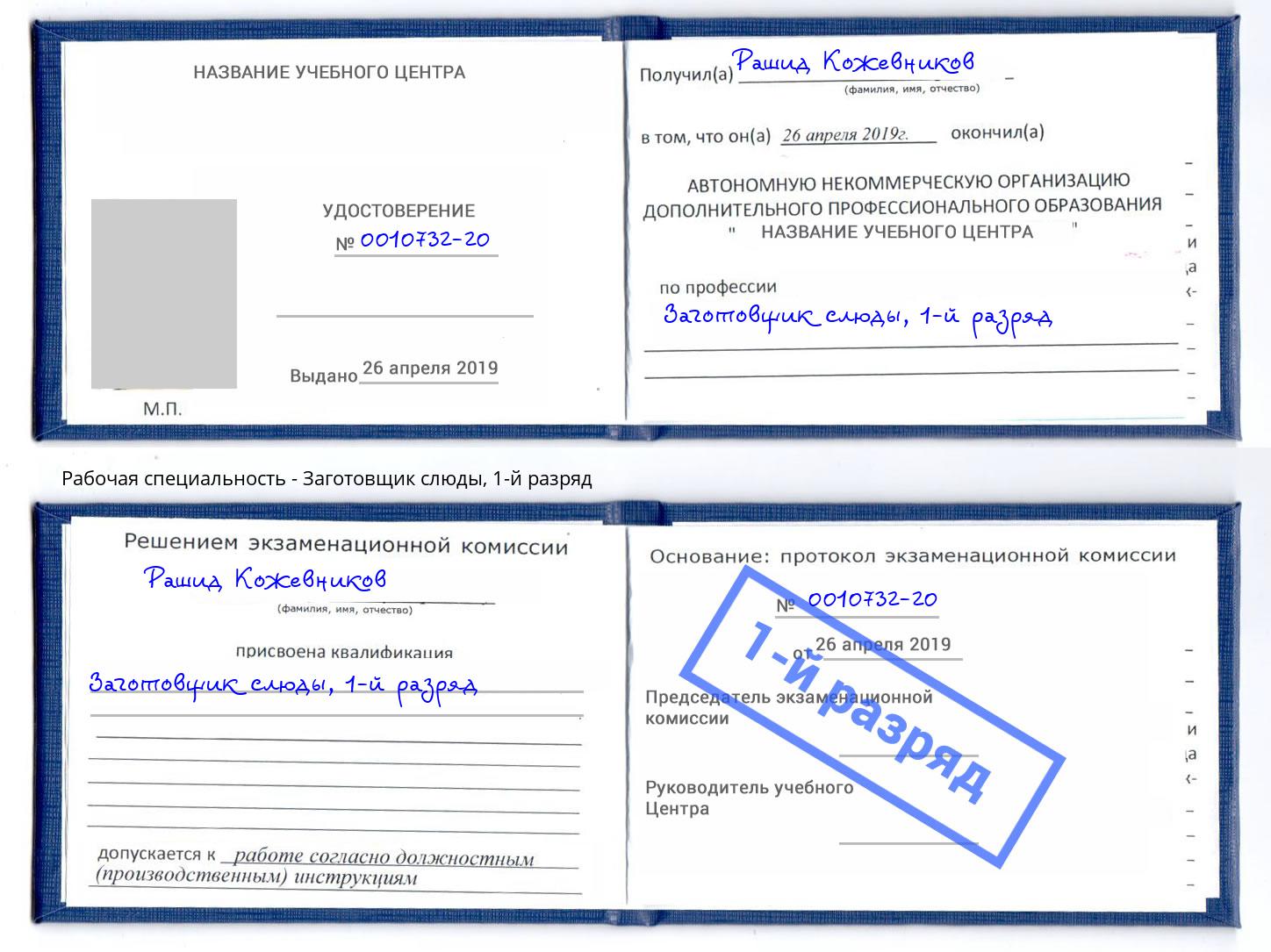 корочка 1-й разряд Заготовщик слюды Усть-Лабинск